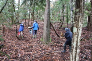 初冬のくつきの森で、調査開始！